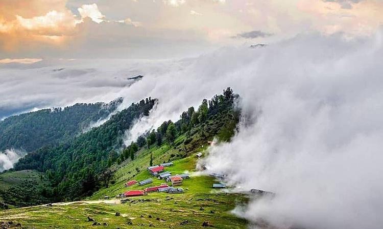 مسیر دسترسی به جنگل ابر در شاهرود